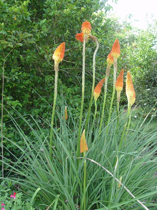 booroowhangary-nov09 010.jpg